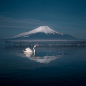 Japan pledges $10bn