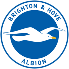Brighton and Hove Albion History