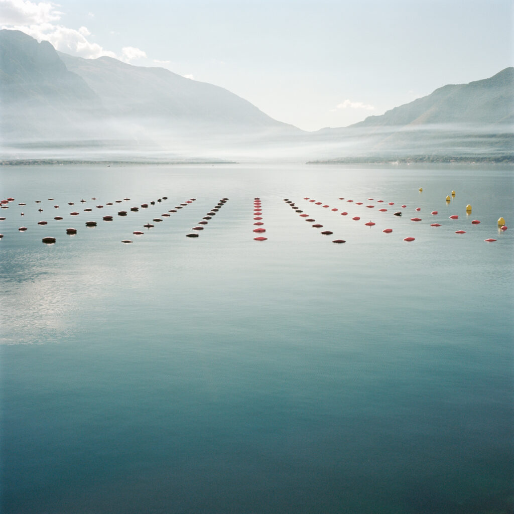 Water polo player's hopes for Olympic glory