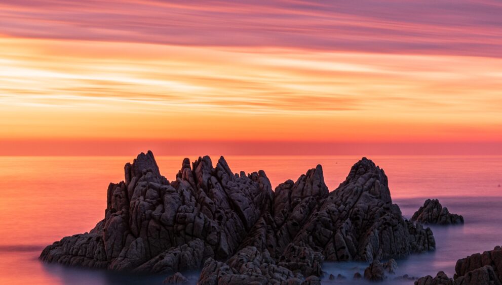 Who is Reform UK's Welsh leader Dan Thomas